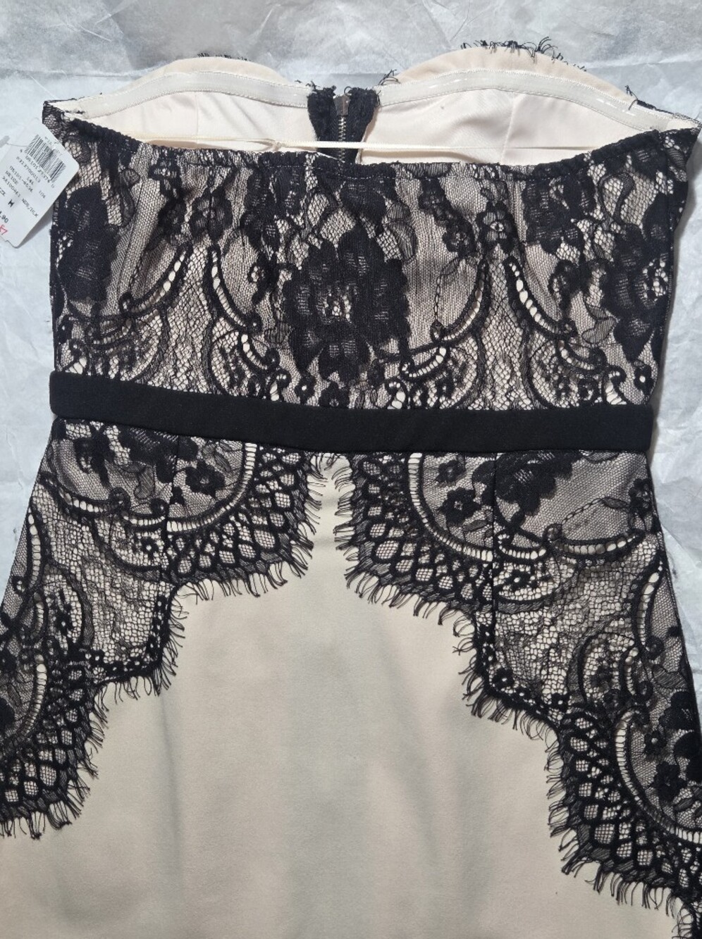 Windsor Strapless Bodycon Blush and Black Lace Sheath Dress - Picture 11 of 11